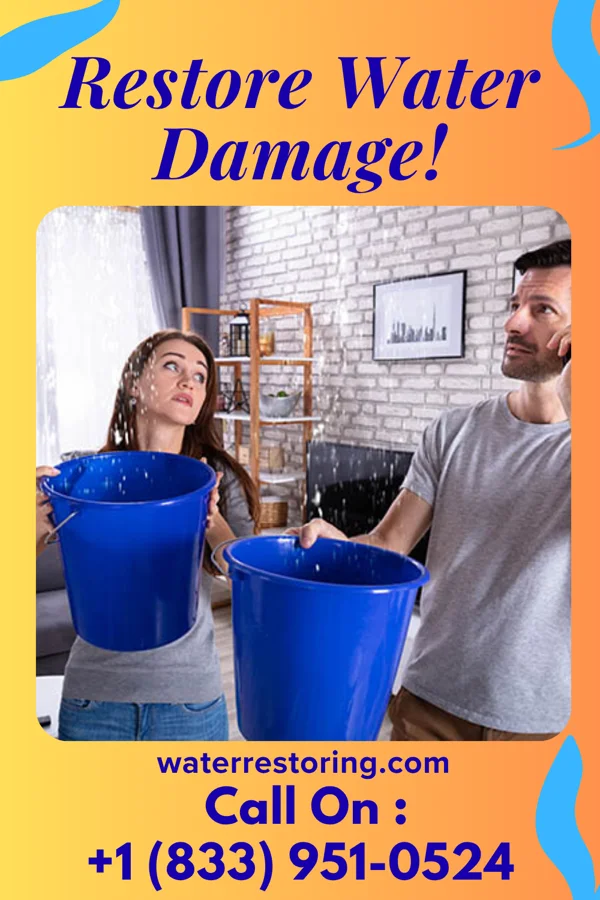 water restoration First Mitigation Pros Leesburg