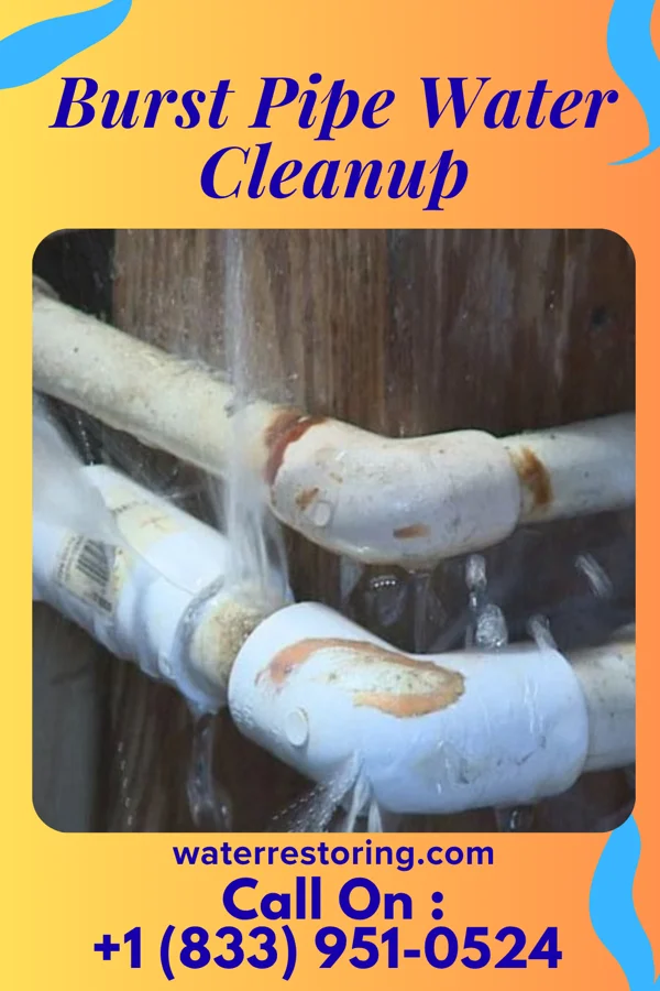 Burst Pipe Water Cleanup in Leesburg, IN