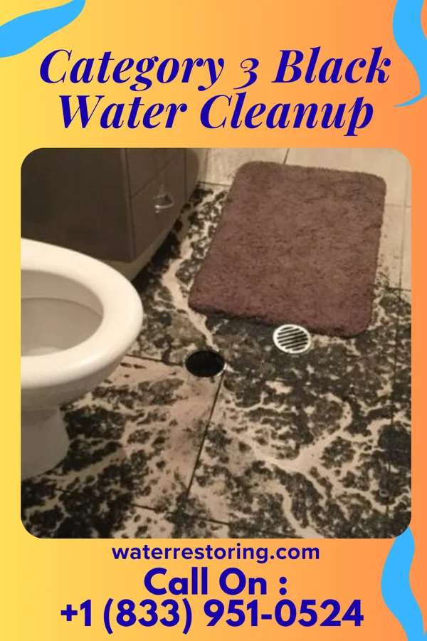 Category 3 Black Water Cleanup in Leesburg, IN