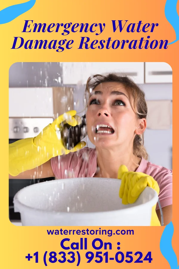 Emergency Water Damage Restoration in Leesburg, IN