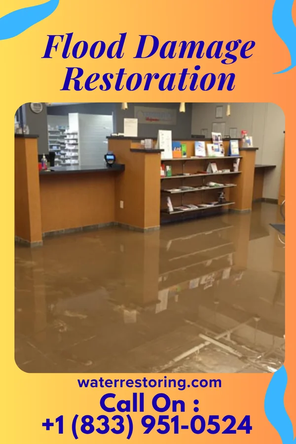 Flood Damage Restoration in Leesburg, IN